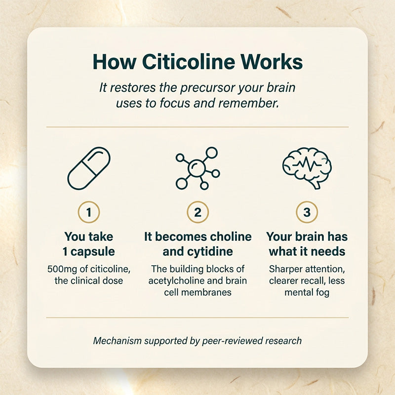Citicoline