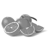 Moringa