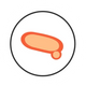strain icon